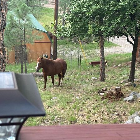 Gonzales Cozy Little Bear Cabin Ruidoso Exterior foto