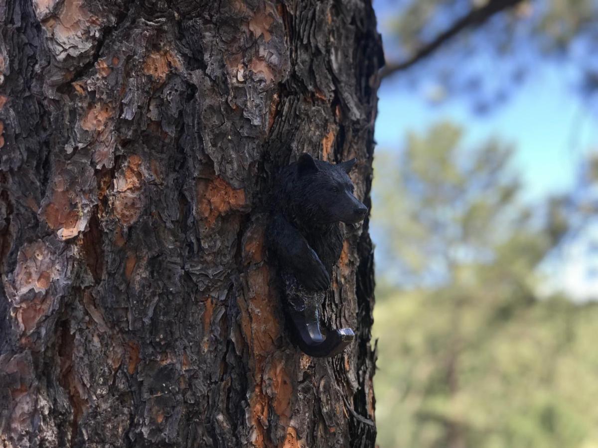 Gonzales Cozy Little Bear Cabin Ruidoso Exterior foto